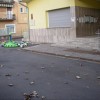 Snake_2012_Bolzano - View_6